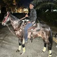 jean.carlos.herna247