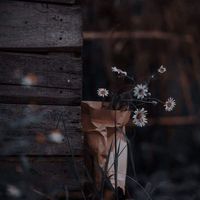 thayvaychuacvoikhocquaia