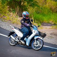 _tle310