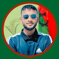 original sound - nadim_sheikh_jcd