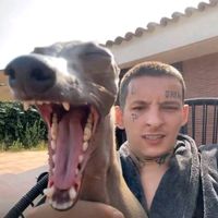 оригинальный звук