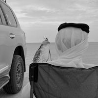 الصوت الأصلي