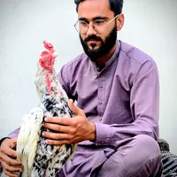 original sound - jhelumaseelfarm12