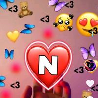sn___lover