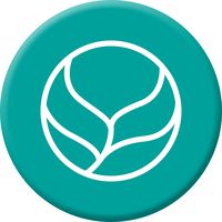 mineralbotanica