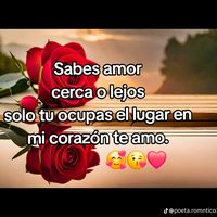 ilsy.lop