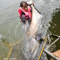 monstercatfish11