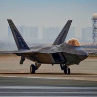 raptor1990929