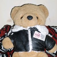 4624teddybear