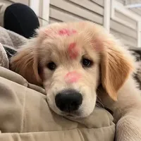 original sound - peemai_____2005