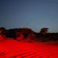 الصوت الأصلي