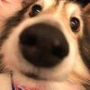 ffourqz_7