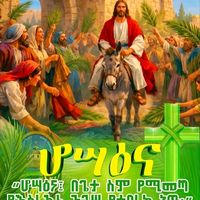 lehulumgizealew3