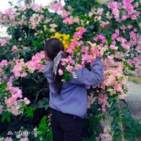 เสียงต้นฉบับ - Maiv Choj Yaj