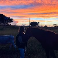 beatrizborgesfaxina