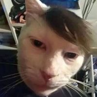 dadanomoney