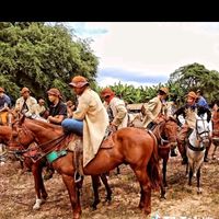 junior_vaqueiro55