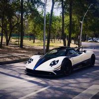el_pitbull456