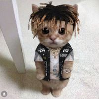 axel_jw_fan