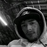 silvaz.s_8