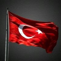 orijinal ses