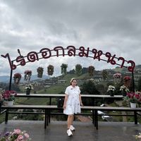 yingnount11