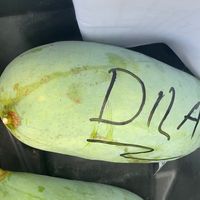 dilaramadhaniiiiiii