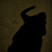 original sound - author.shazainzainab