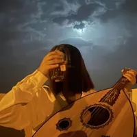 original sound - troubvoice