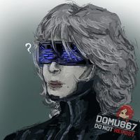 domu867