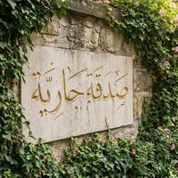 الصوت الأصلي