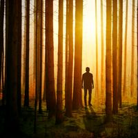 오리지널 사운드 - 메멘또모리