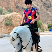 user94831636