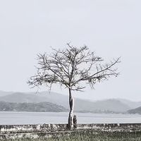 suara asli - Sya_Pan31