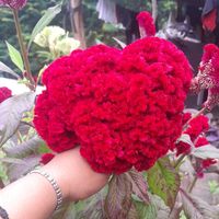 nilda5456
