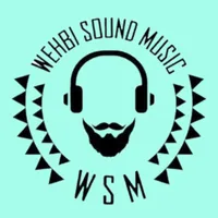 original sound - wsm.live.music