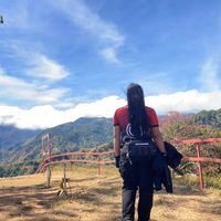 original sound - ___-_-_