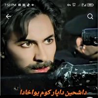 shaheenafsar418