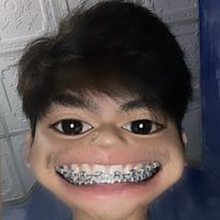 sxntx_xd