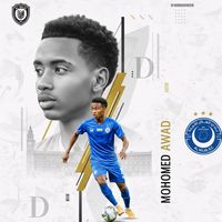 mohamed_awad_8