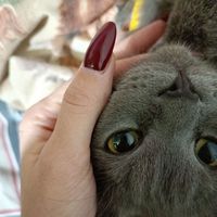 imcrushforme