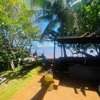 __enailetayxaracuu__