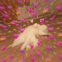 xxluvu9