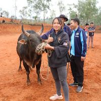 เสียงต้นฉบับ - luna(ຄ້າຍnyuj hlaus nkuaj1)