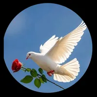 original sound - marlysilva114