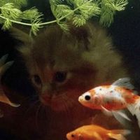 オリジナル楽曲 - 〆