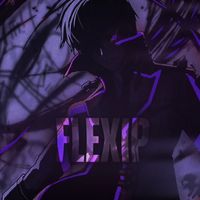 soloflexip