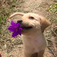 original sound - Wavez Remix