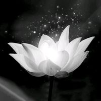 nhạc nền - Nhạc Trung ♬