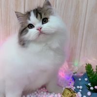 moonok_lunla